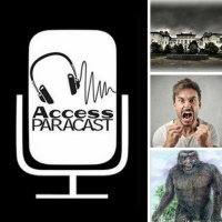 EP29