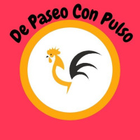 De Paseo con Pulso: Episodio 1