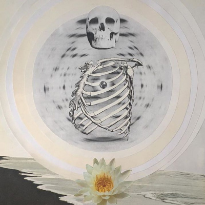 Embodied Astrology With Renee Sills