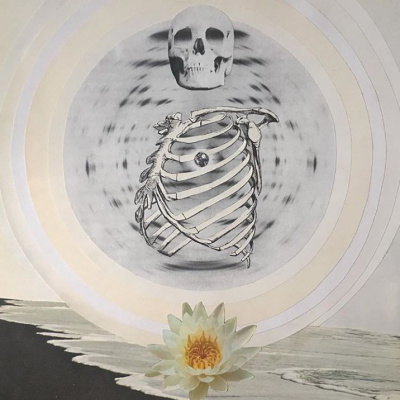 Embodied Astrology With Renee Sills