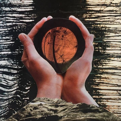 Embodied Astrology With Renee Sills