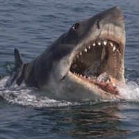 Episode 6: Jaws