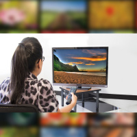 El consumidor de televisión