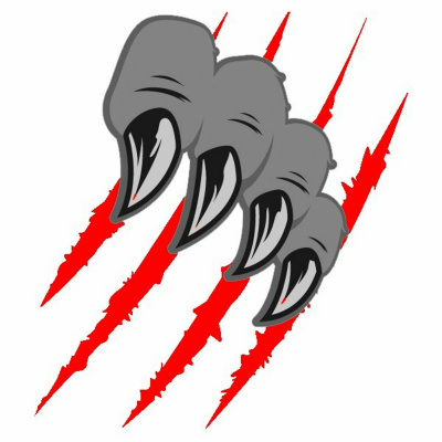 Ring Badgers Wrestling Podcast