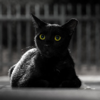 Glück und Unglück - Aberglaube (2/2)