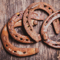 Schwarze Katze von links - Aberglaube (1/2)