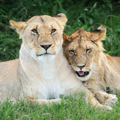Do Re Mikro - Die Musiksendung Für Kinder
