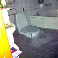 NOL #37 - Were Going To Plug Your Toilet, Preach The Gospel, And Get You High