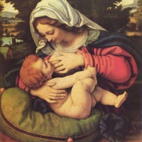 NOL #38 - God Made Boobs