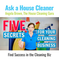 5 Secrets to Cleaning Biz Success - Tips and Advice