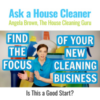 Residential, Commercial and Carpet Cleaning - Is it a Good Start for a Cleaning Business?