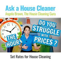 Can I Charge By the Hour for House Cleaning - Pricing Your Business for Success