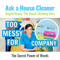 Excuse the Mess - Are You Embarrassed of Your Messy Home?