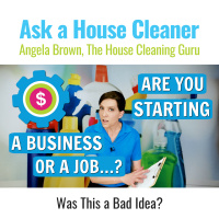 Are You Starting a Business or Starting a Job (House Cleaning)