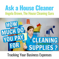 How Much Do You Spend Annually on Cleaning Supplies?