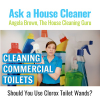 Cleaning Commercial Toilets - What Toilet Wand Should You Use