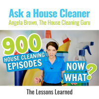 900 House Cleaning Episodes Now What? - Lessons Learned