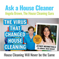 The Virus That Changed House Cleaning Forever with Zeynep Mehmetoglu