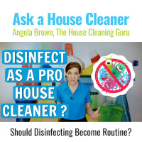 Should I Disinfect as a Professional House Cleaner?