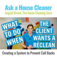 Recleans for House Cleaning - What to Do When the Job isnt Finished