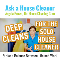 Deep Cleans for Solo Cleaners - Find Balancing Work-life Balance with Special Needs Kids