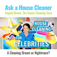 What I Learned From Cleaning For Celebrities