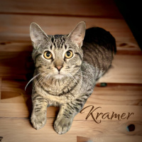 The Mason Jar Cafes Furry Friends Friday featuring Kramer!