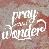 Audio Podcast #27 // Pray And Wonder - Denke Langfristig // 29.05.2016