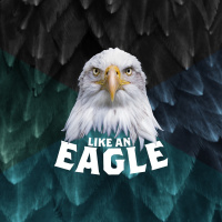 Audio Podcast #39 // Like An Eagle - Erhebe Deine Zeit // 25.09.2016