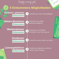 261 5 Einkommens Möglichkeiten