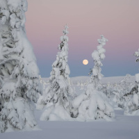 Annandagsmorgon – Vår känsla för snö