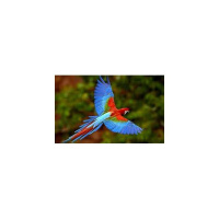 Righteous Consciousness with host Darlene Lawerence