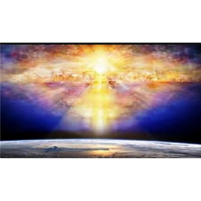 Purpose Kingdom Network