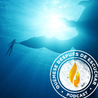 562. Avatar: The Way of Water