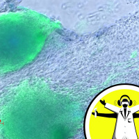 Building Bodies and Mending Broken Hearts