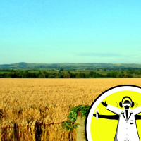 The Future of our Food