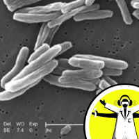 TB and Magnetic Bacteria