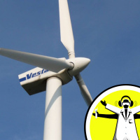 Winds, Wings, Whale Fins and Wind Power