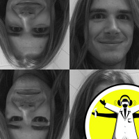 Driving into the Future