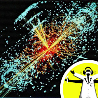 Particle Physics Show