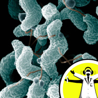 Your Bacterial Body