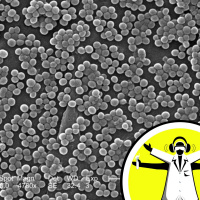 Superbugs - MRSA and C. diff