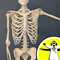 Boosting Your Bones