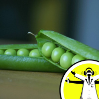 The Science of Farming
