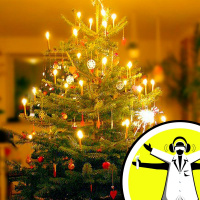 Naked Science Christmas Party
