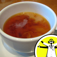 Diana and Meeras Best Bits