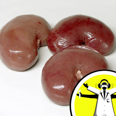 The Naked Scientists Podcast