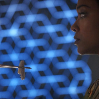 Star Trek Discovery - Vaulting Ambition