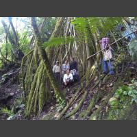 Episodio 48: Ronald Sanabria (Parte 2) – Rainforest Alliance y la certificación