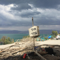 יוכי |בחיפוש אחר קורת גג